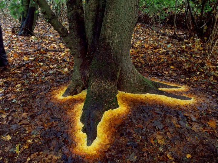 andy-goldsworthy