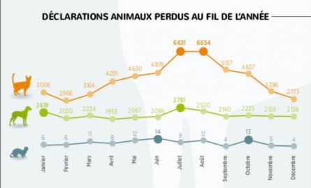 animaux déclarés disparus 2018