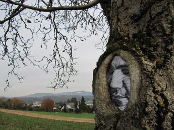 art arbres 4