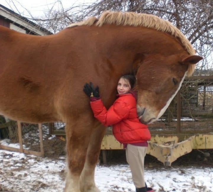 bébé animaux