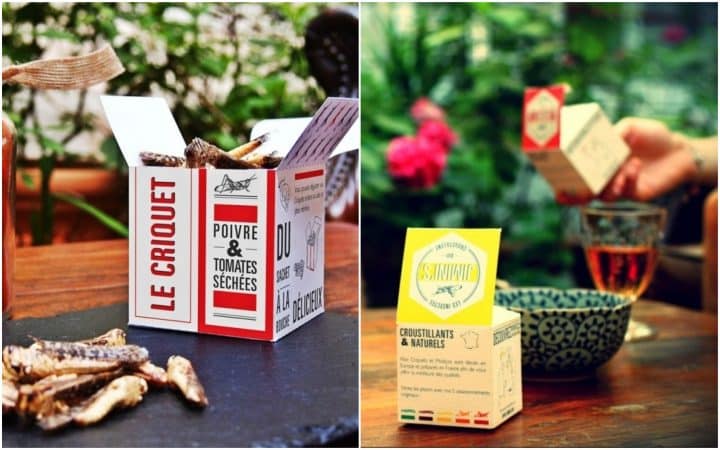 Cadeaux fête des pères insectes