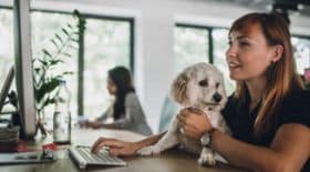 chien au bureau 3