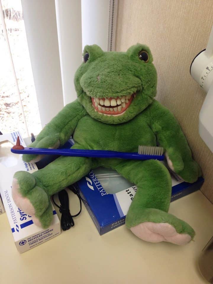 dentiste-peluche