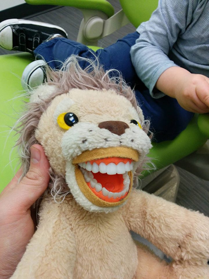 dentiste-peluche