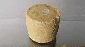 Un fromage créé à partir de bactéries humaines exposé à Londres
