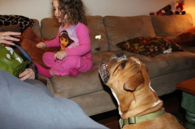 photo meilleur moment