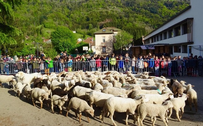 des-parents-deleves-mettent-en-vente-une-salle-de-classe-sur-le-bon-coin-pour-protester-contre-sa-fermeture