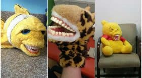 Peluches dentiste