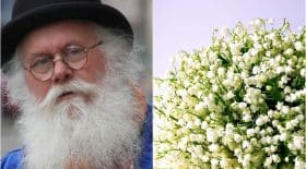 Pets muguet