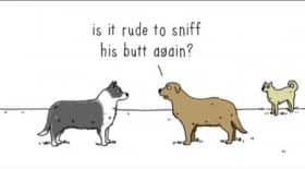 Animaux qui parlent