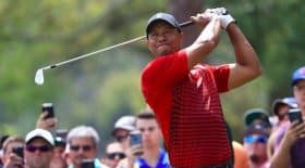 Tiger Woods