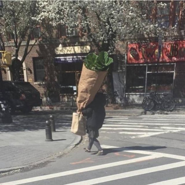 truc version géante