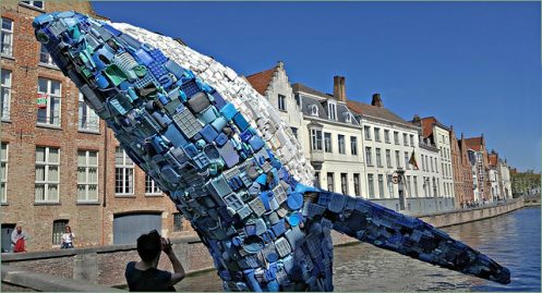 Bruge Whale Belgique sensibiliser
