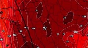 canicule