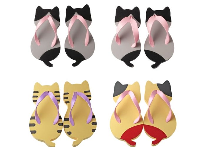chats sandales