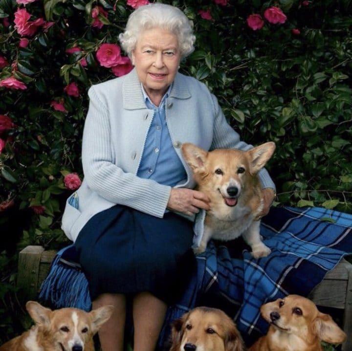 Elizabeth-II-corgi