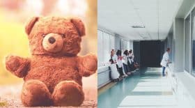 Hopital ours