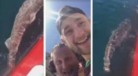 ils-coupent-la-queue-dun-requin-avant-de-relacher-mer-jason-momoa-monte-au-creneau-et-tacle-violemment