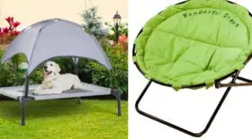 lit et chaise animaux