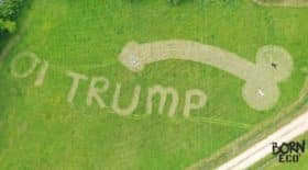 Penis Donald Trump