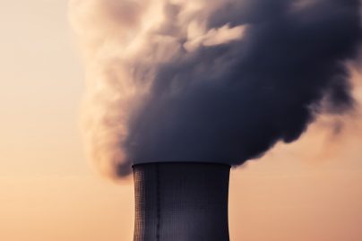 rapport écologie