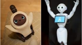robots