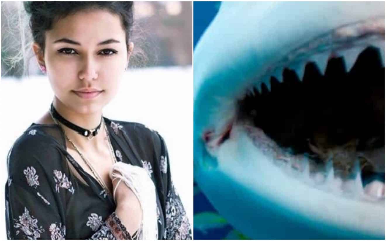 À 13 ans, elle réchappe à une attaque de requin en frappant le