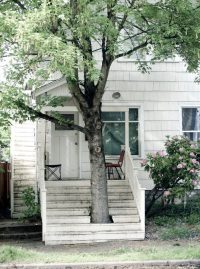 Arbre maison