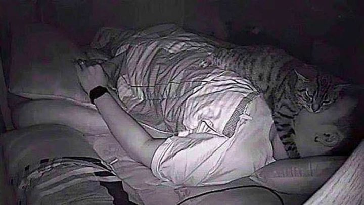 Une femme se réveille toujours fatiguée, alors elle installe une caméra et  aperçoit son chat qui tape son corps pendant 4 heures d'affilée - ipnoze
