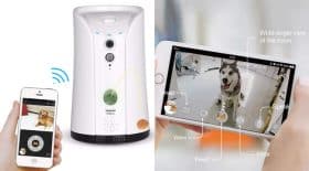 camera chien