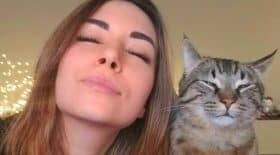 chat