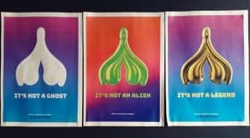 clitoris