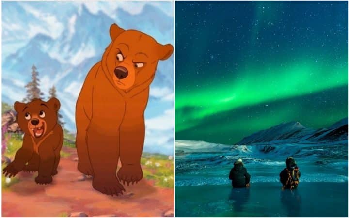 frère des ours disney