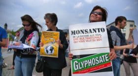 glyphosate