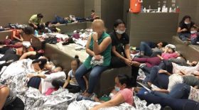 migrants