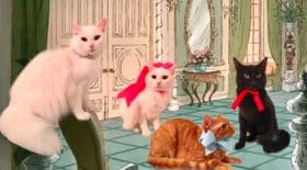 Les Aristochats