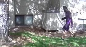 Livreur FedEx