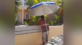 parasol