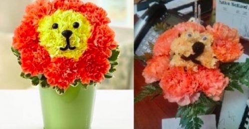 photos non contractuelles 