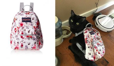 photos non contractuelles 