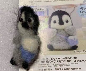 photos non contractuelles 