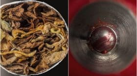 photos objectif macro