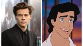 Harry Styles Prince Eric