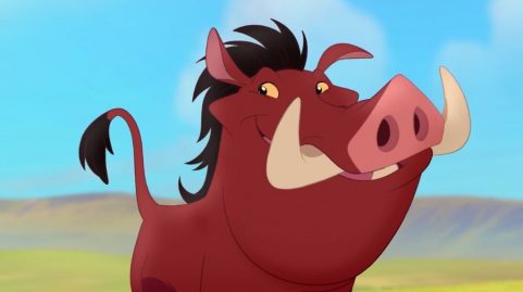 Pumbaa Le Roi Lion