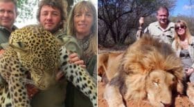 safari de chasse