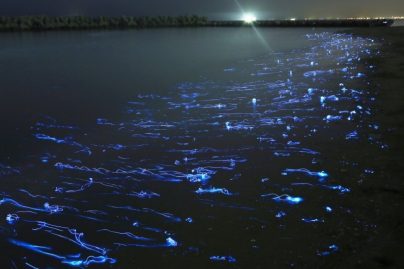 Takehito Miyatake