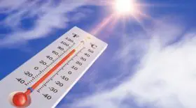 thumb canicule