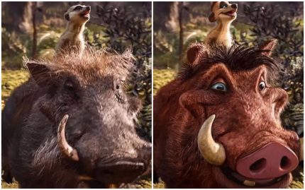 timon et puma roi lion