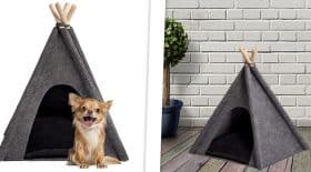 tipi