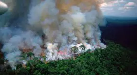 amazonie